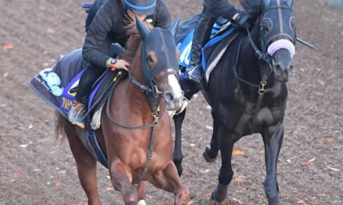 【朝日杯FS】アルテヴェローチェ　迫力あるって！スピード感あふれる動きで先着　須貝師「十分に動けていた」