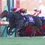 【エリザベス女王杯2025特集】「有馬記念覇者レガレイラの一強ムード漂う」出走予定・枠順・追い切り・予想オッズetc.