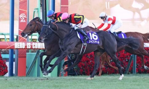 【エリザベス女王杯2025特集】「有馬記念覇者レガレイラの一強ムード漂う」出走予定・枠順・追い切り・予想オッズetc. レガレイラ/2024年有馬記念(C)Toshihiko Yanagi