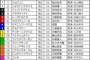 ホープフルS2024の枠順