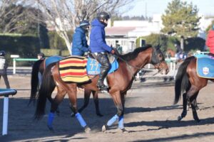 【中山金杯】今がまさに伸び盛り！ホウオウビスケッツ　充実期迎え25年開幕戦の主役へ　心機一転Vで夢のG1制覇へつなぐ