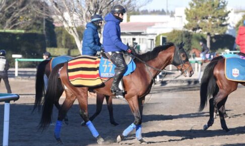 【中山金杯】今がまさに伸び盛り！ホウオウビスケッツ　充実期迎え25年開幕戦の主役へ　心機一転Vで夢のG1制覇へつなぐ