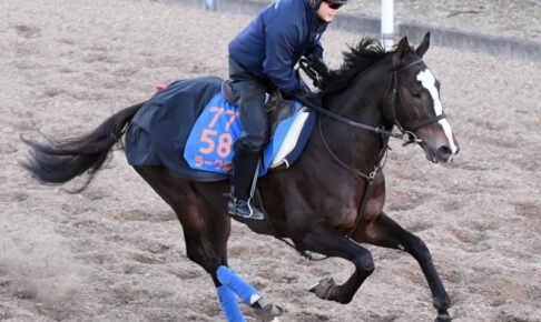 【中山金杯】ラーグルフ　今年引退の宗像師へ重賞制覇で花添える　年男・菅原明と再コンビで初笑いなるか