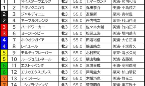 【フェアリーS／シンザン記念2025予想】芸能人・予想家の本命・注目馬予想まとめ　新年初当たりを決めた◎を要チェック