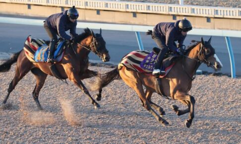 【京都記念】チェルヴィニア　余裕の手応え　太田助手「成長分はある」着々と準備進む