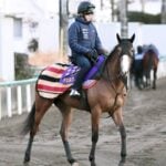 【京都記念】チェルヴィニア　飛躍の4歳シーズンへ第一歩　着実に成長「地力は上がっています」陣営も手応え