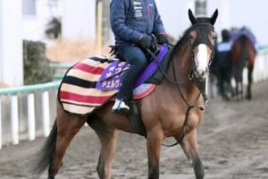 【京都記念】チェルヴィニア　飛躍の4歳シーズンへ第一歩　着実に成長「地力は上がっています」陣営も手応え