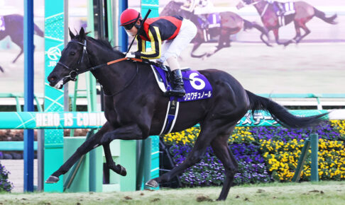 【凱旋門賞2025特集】「クロワデュノールら日本馬3頭が悲願成就に挑む」オッズ・予想・出走予定馬・馬券発売・放送etc. クロワデュノール/2024年ホープフルS(C)Toshihiko Yanagi