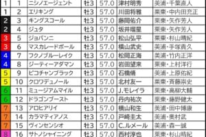 皐月賞2025の枠順