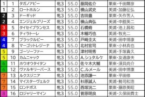 フローラS2025の枠順