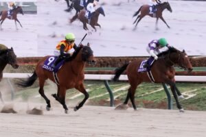 コスタノヴァ／2025年フェブラリーS（C）Toshihiko Yanagi