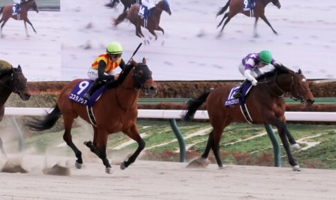 コスタノヴァ／2025年フェブラリーS（C）Toshihiko Yanagi