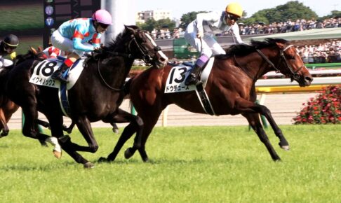 【日本ダービー2025予想】過去10年のレース結果・配当・血統まとめ　傾向分析に使えるお役立ちデータ