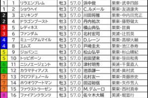 【日本ダービー2025予想】大口投票パトロール　クロワデュノールに単勝「1960万円」の高額投下　競馬の祭典にビッグマネー飛び交う