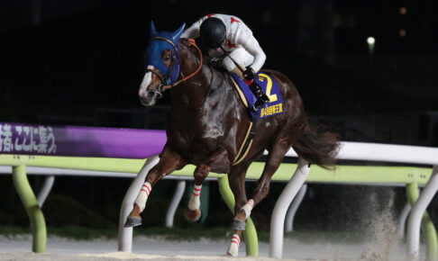 第48回帝王賞を制したミッキーファイト（写真：SPREAD編集部）