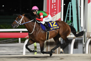 キングズソード／2024年帝王賞（C）TCK