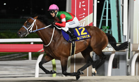 キングズソード／2024年帝王賞（C）TCK