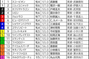 アイビスSD2025の枠順