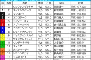 セントウルS2025の枠順