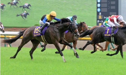 カムニャック／2025年オークス（C）Toshihiko Yanagi