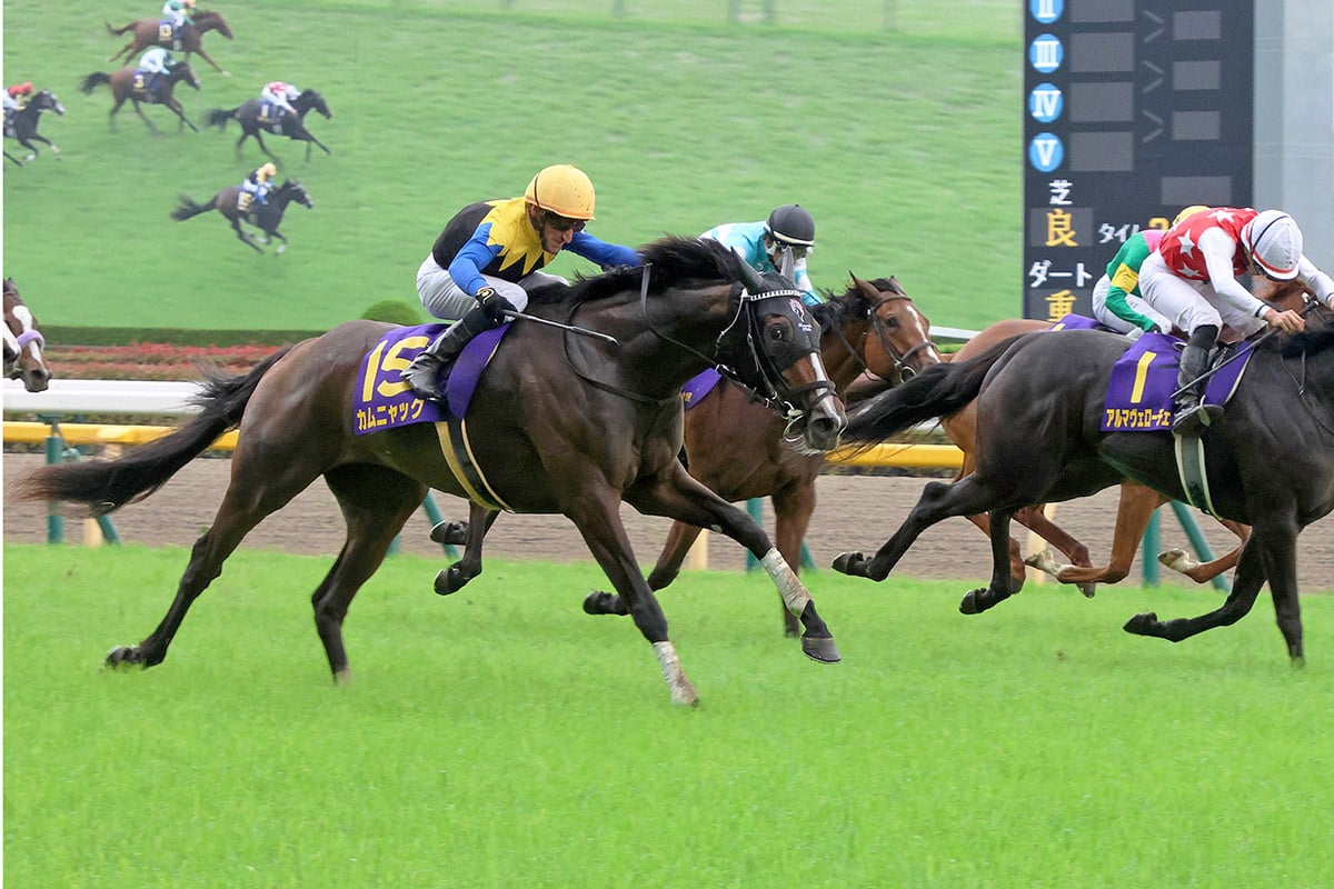 JRA　競馬　馬写真（額入り）冬花 JRA 競馬 馬写真（額入り）冬花 JRA 競馬 馬写真（額入り）冬花