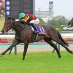 【天皇賞秋2025特集】「皐月賞馬ミュージアムマイルら3歳勢が古馬に挑む」出走予定・枠順・追い切り・予想オッズetc. 【天皇賞秋2025特集】「皐月賞馬ミュージアムマイルら3歳勢が古馬に挑む」出走予定・枠順・追い切り・予想オッズetc.