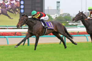 【天皇賞秋2025特集】「皐月賞馬ミュージアムマイルら3歳勢が古馬に挑む」出走予定・枠順・追い切り・予想オッズetc. ミュージアムマイル/2025年皐月賞(C)Toshihiko Yanagi