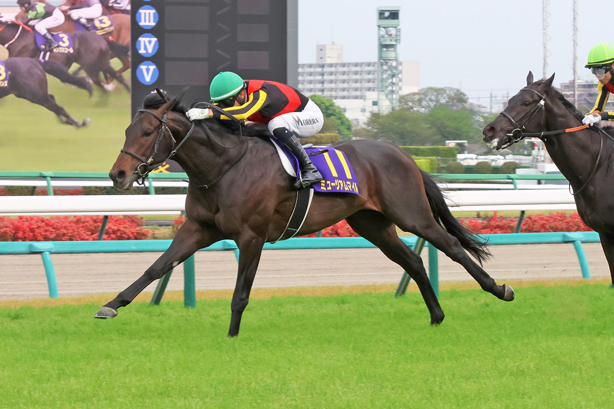 【天皇賞秋2025特集】「皐月賞馬ミュージアムマイルら3歳勢が古馬に挑む」出走予定・枠順・追い切り・予想オッズetc. 画像