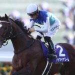 【朝日杯フューチュリティステークス2025特集】「無敗の重賞ウイナー3頭が激突」出走予定・枠順・追い切り・予想オッズetc. 【朝日杯フューチュリティステークス2025特集】「無敗の重賞ウイナー3頭が激突」出走予定・枠順・追い切り・予想オッズetc.