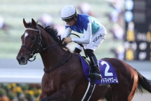 アドマイヤズーム/24年朝日杯FS（C）Eiichi Yamane