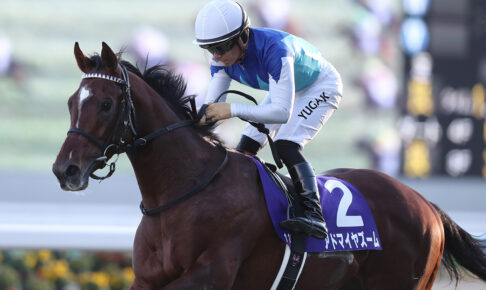 アドマイヤズーム/24年朝日杯FS（C）Eiichi Yamane