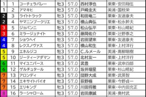 【菊花賞2025予想】大口投票パトロール エネルジコの単勝に「780万円」 混戦のクラシック最終戦は高額も分散傾向 菊花賞2025の枠順