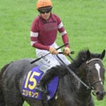 【菊花賞】ジョッキーカメラが捉えた川田将雅の2週連続“ハラハラ”ゲート内 「あー!」で発馬の災難にファン既視感 【菊花賞】ジョッキーカメラが捉えた川田将雅の2週連続“ハラハラ”ゲート内 「あー!」で発馬の災難にファン既視感