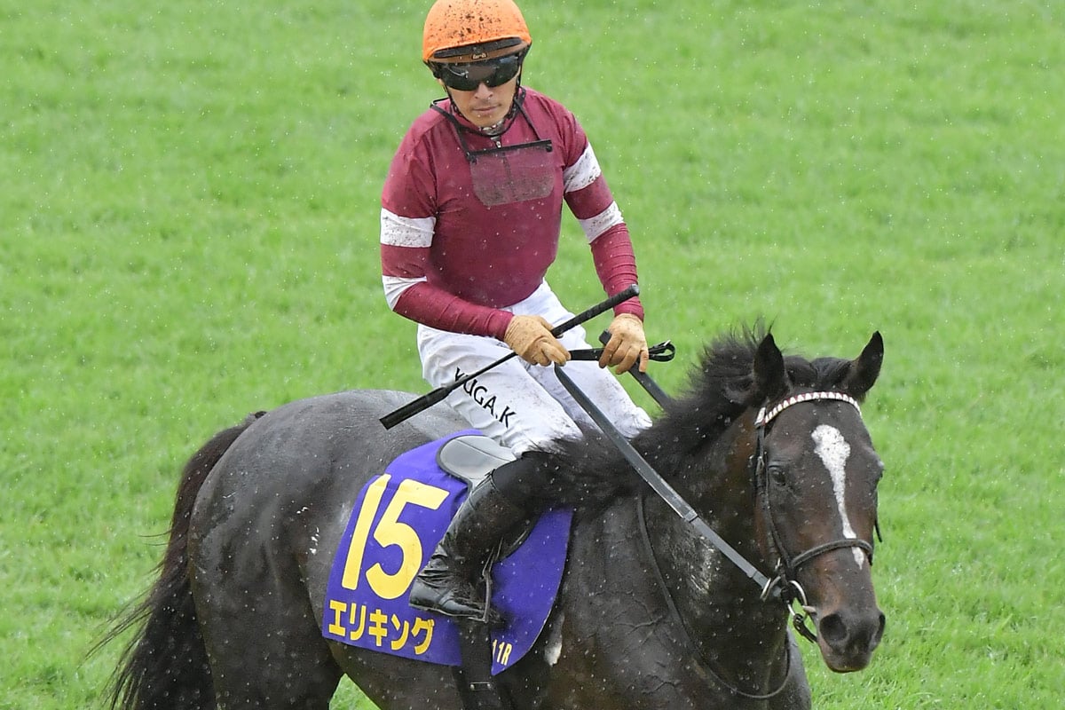 菊花賞で2着に敗れたエリキングと川田将雅騎手