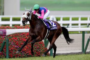宝塚記念を制したメイショウタバル（