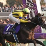 【天皇賞秋】ジョッキーカメラが拾った荒ぶるルメールの“関西弁オコ”に脚光 「あーもう、いるよ!」「おっそいわ~!」 【天皇賞秋】ジョッキーカメラが拾った荒ぶるルメールの“関西弁オコ”に脚光 「あーもう、いるよ!」「おっそいわ~!」