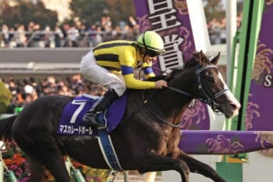 マスカレードボール／2025年天皇賞・秋（C）Toshihiko Yanagi