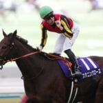 【エリザベス女王杯2025予想】過去10年のレース結果・配当・血統まとめ　傾向分析に使えるお役立ちデータ