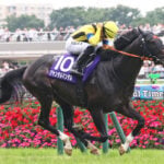 【安田記念2026特集】「史上稀に見る大混戦、4歳GI馬が中心か」出走予定・枠順・追い切り・予想オッズetc.