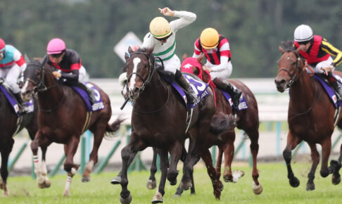 ソウルラッシュ／2024年マイルチャンピオンシップ（C）Eiichi Yamane