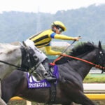 【安田記念2026予想】過去10年のレース結果・配当・血統まとめ 傾向分析に使えるお役立ちデータ 【安田記念2026予想】過去10年のレース結果・配当・血統まとめ 傾向分析に使えるお役立ちデータ