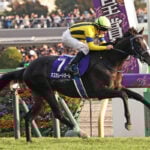 【ジャパンカップ2025特集】「天皇賞馬マスカレードボールvs.欧州最強カランダガンが参戦」出走予定・枠順・追い切り・予想オッズetc. 【ジャパンカップ2025特集】「天皇賞馬マスカレードボールvs.欧州最強カランダガンが参戦」出走予定・枠順・追い切り・予想オッズetc.