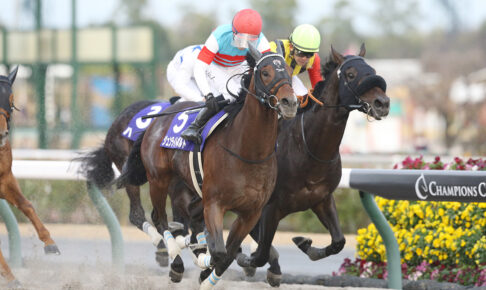 ジュンライトボルト／22年チャンピオンズC（C）Eiichi Yamane