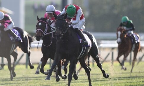 【阪神ジュベナイルフィリーズ2025特集】「無敗の女王へ、名牝の仔アランカール出陣」出走予定・枠順・追い切り・予想オッズetc.