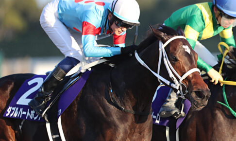 ダブルハートボンド/2025チャンピオンズC