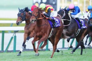 スターアニス/2025阪神JF