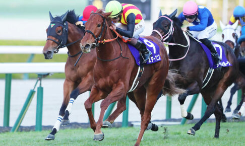 スターアニス/2025阪神JF