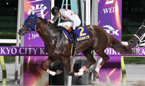 ミッキーファイト／2025帝王賞（C）TCK