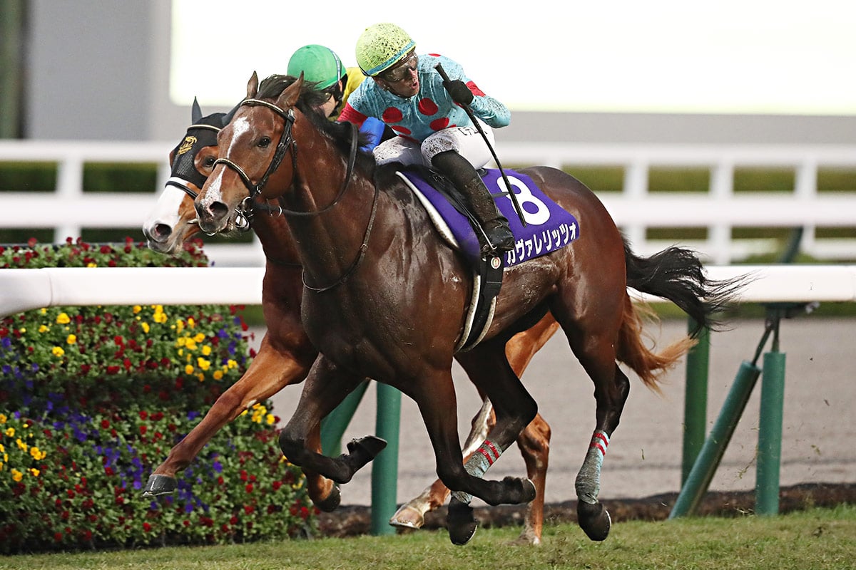 【皐月賞2026特集】「カヴァレリッツォvs.ロブチェン、2歳王者対決の行く末は」出走予定・枠順・追い切り・予想オッズetc. 画像