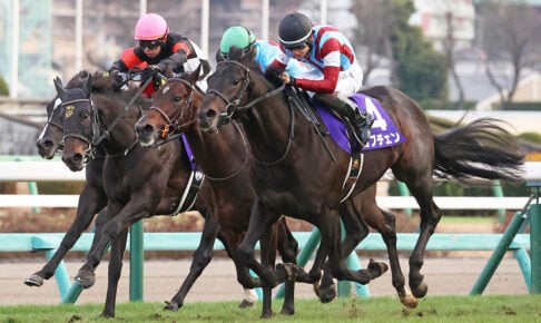 ロブチェン_2025ホープフルS